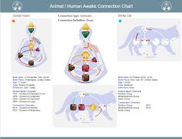 Human Design New Chart Animal Human Awake Connection