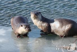 오늘의 날씨] 부산·경남(17일,금)…맑고 대기 매우 건조 : 네이트 뉴스