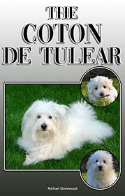 The coton de tulear is definitely a dog you should know more about before you pay for one. The Coton De Tulear A Complete And Comprehensive Owners Guide To Buying Owning Health Grooming Training Obedience Understanding And Caring For Your Coton De Tulear English Edition Ebook Stonewood Michael Amazon De Kindle Shop