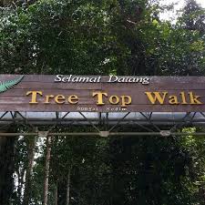 It's a very serene & peaceful place in the forest of. Photos At Tree Top Walk Sg Sedim Simpang 4 Kedah