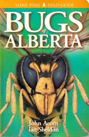 alberta, canada creepy basement bug freaking out wife. Bugs Of Alberta By John Acorn