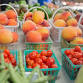 Coastal Alabama Farmers and Fishermen's Market event image