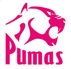 Watch blue bulls vs pumas 2019 live hd. Blue Bulls Vs Pumas Pumas Rugby Union