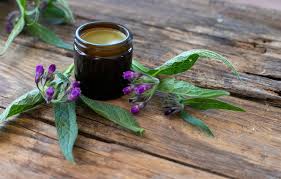 Żywokost – na stawy i żylaki. Jak zrobić maść z żywokostu i nalewkę? -  wylecz.to