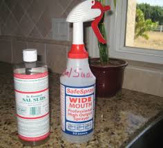 sal suds house cleaner in a spray bottle going green with