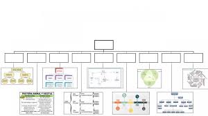 Published with reusable license by. Mapa Interactivo Usando Organizadores Graficos