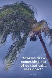 And, so, i title this missive as such, as angela and i head off on the media research center's. 126 Sailing Quotes Ideas Sailing Quotes Quotes Sailing