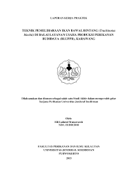 Pdf Bawal Bintang Elli Lailatul Academia Edu