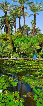 Jardines De Majorelle Marrakech Marruecos Mas Marrakech Paisajes Marrakesh
