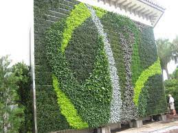 Sprout Green Wall In Palm Beach County Outdoor Wall Decor Vertical Garden Vertical Garden Planters