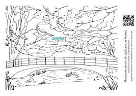 Invatare, consolidare de deprinderi forma de organizare uriasa si apoi vom lipi ridichea, dar inainte de acestea vom trece la masute pe centre unde veti lucra ca niste copii isteti ce sunteti. Ratusca Cea Urata Si Lebedele