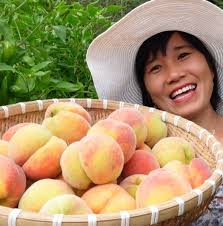 Profile for Nhung Ha Cuoc Song My