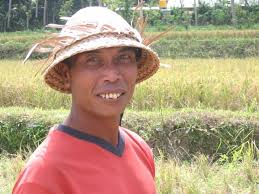 Copy of Bali Rice Farmer ii