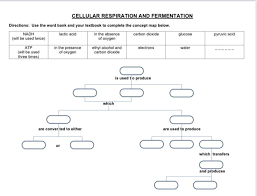 Many people think they get sick after getting a flu shot. Cellular Respiration And Fermentation Map Please Help Brainly Com