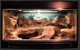 Leopard gecko owners tend to feel strongly about what substrate works best for their terrariums. Leopard Gecko Terrarium Decorations Leopard Gecko Care