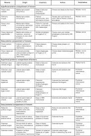 11 4 Identify The Skeletal Muscles And Give Their Origins