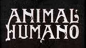 Maybe you would like to learn more about one of these? Presentacion Del Libro Animal Humano De Cesar David Delgado Youtube