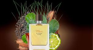 Hermes Terre D Hermes Pour Homme Eau De Parfum Terre D Hermes Eau Intense Vetiver Perfume Men Perfume Best Perfume For Men