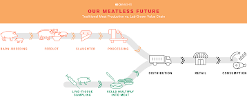 How Lab Grown Meat Companies Disrupt Global Meat Market