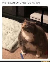 Pin On Karen Memes