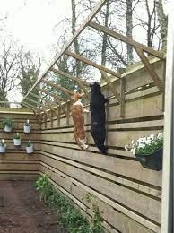 steeds meer mensen zien het voordeel van een katten buitenverblijf buiten kat afscherming katten kat speeltuin