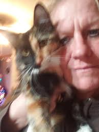 Unique orange and white cat