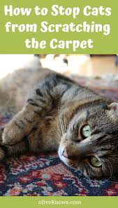 Here are a few training tips to get your cat used to scratching a post instead of your furniture: How To Stop Cats From Scratching The Carpet Fall Cats Cat Stairs Cat Behavior