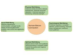 The Positive Effects Of Nature On Your Mental Well Being