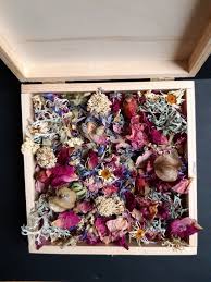 Pin On Botanical