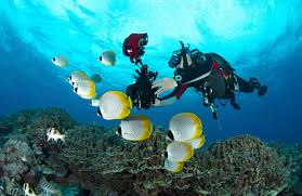 It comprises one large and six smaller islands in off the coast of sabah in malaysia. 6d5n Layang Layang Island Tour Code Bki35 Kota Kinabalu Tour Packages Sabah Provided By Borneo Travel Network