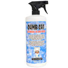Cat Urine Spray Dumb Cats Cat Spray Cat Urine
