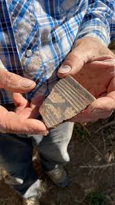 Gault Film — Excavation at Wallace Ruin, an Ancestral Pueblo Great House