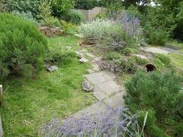 Griechische Landschildkroten Landschildkroten Griechische Landschildkrote Schildkrotengehege