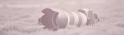 My job is to make the session a fun, one of. The Best Lens For Dog Photography 2020 Berkshire Dog Photographer