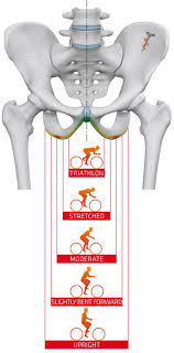 Your heart rate at rest is a measure of heart health and fitness. Saddle Fit 05 Optimal Saddle Width Bikegremlin