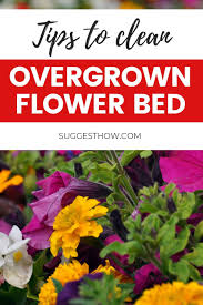 How To Clear An Overgrown Flower Bed In 2020 Flower Beds Overgrown How To Make Compost