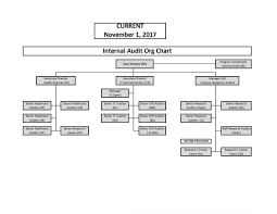 organizational chart internal audit