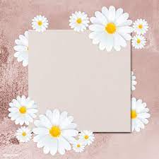 Maybe you would like to learn more about one of these? Download Premium Psd Of White Daisy Flower Frame On Pink Background Flower Frame Daisy Flower Background Flower