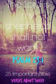 We did not find results for: 25 Important Bible Verses About Sheep