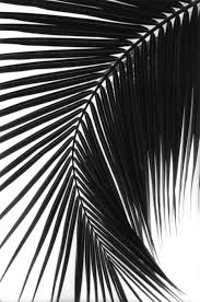 Aesthetic Black And White Photoshoot Men Black White Very Cool Photo Blog Black And White Aesthetic White Photography Black And White Photography