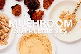 Top 11 Best Mushroom Supplements: Most Effective Product Brands to Buy -  Orlando Magazine
