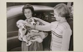 Check spelling or type a new query. 55 Let Nazad 19 Avgusta 1960 Go Belka I Strelka Poleteli V Kosmos
