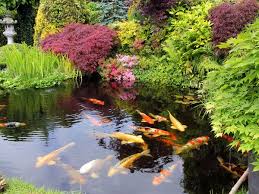 This is perfect for creating an excellent first impression.#raingarden #gardendesign #gardendesignideas #gardendesignideasonabudget Garden Pond Building Tips