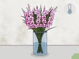Our guide on starting a dried flower business covers all the essential information to help you decide if this business is a good match for you. Easy Ways To Freeze Dry Flowers 15 Steps With Pictures