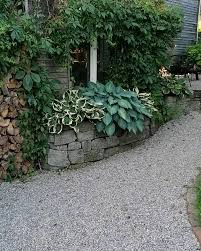 Ein Schweizer Garten On Instagram Der Westliche Schattengarten Inkl Lautem Vogelgezwitscher Derzeit Ist Es Lei In 2020 Garten Ein Schweizer Garten Schattengarten