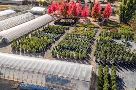 Maybe you would like to learn more about one of these? Let Us Build Your Dream Yard Webb Landscape Inc