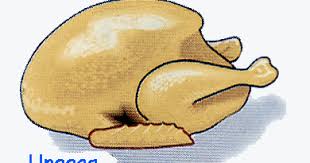 Download now dasar nasib ayam kutipan lucu meme lucu semuanya lucu dan. No Ayam No Unggas Dwi Puspita Lifestyle Blogger Surabaya