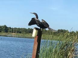 Florida rv parks & campgrounds directory for camping in florida passport america offers 50% savings off the regular rates at 1800 participating campgrounds in the usa, canada and mexico. Buddy S Lakeside Rv Park Campground Reviews Inglis Fl Tripadvisor