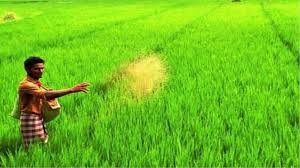 Prime minister narendra modi released the second installment of pradhan mantri kisan samman nidhi yojana 2021 for farmers. Omj6tehbwihadm