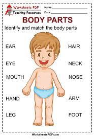 #6 body part activity for preschoolers: Identify And Match The Body Parts Worksheets Pdf